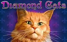 Игровой автомат Diamond Cats